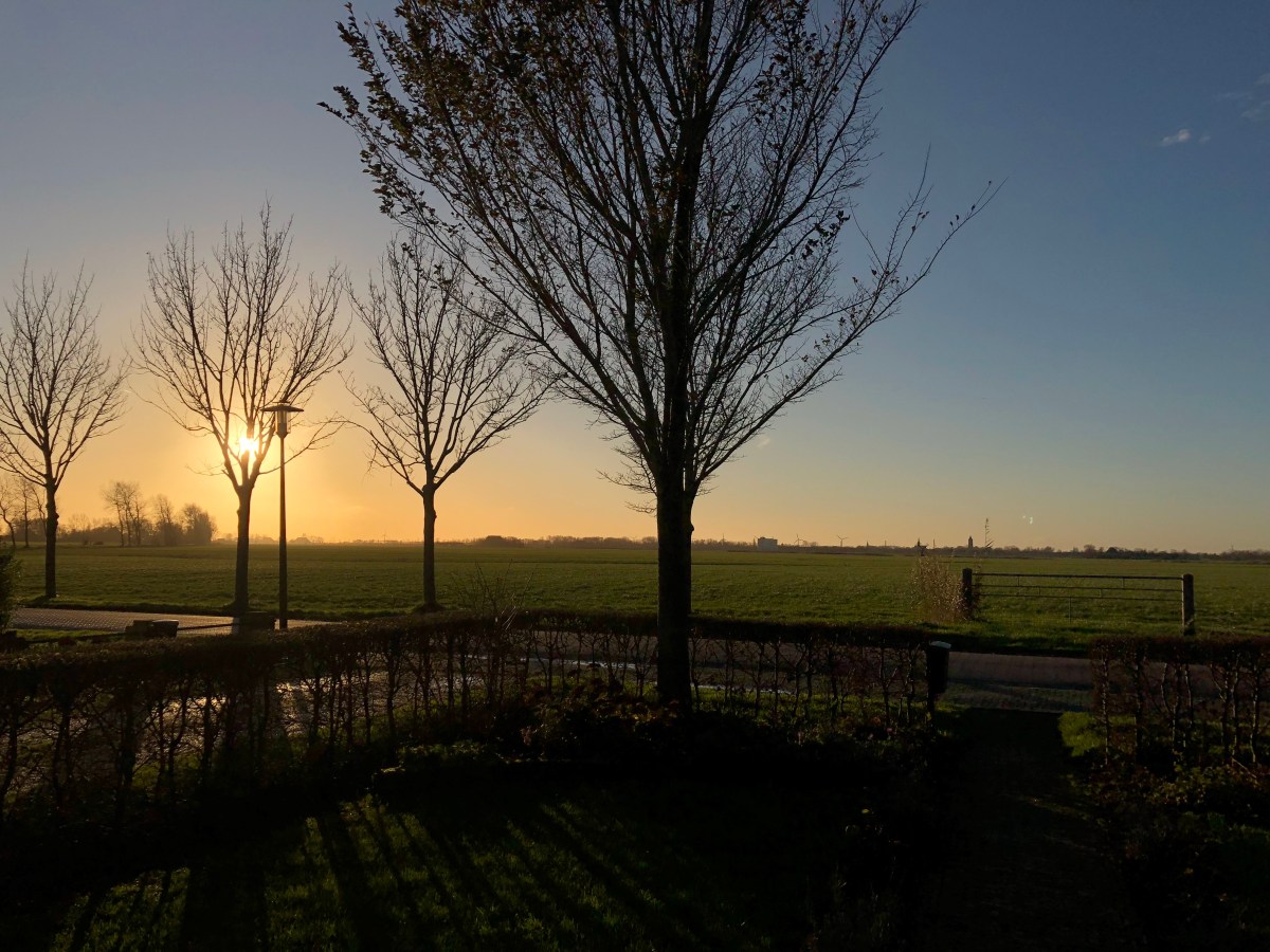 Hartwert troch de jierren&nbsp;hinne